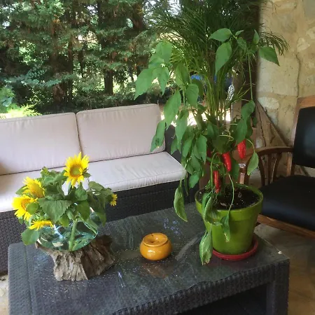 住宿加早餐酒店 La Damiche Rives (Lot-et-Garonne)