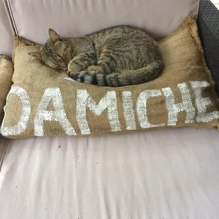La Damiche 3* Rives (Lot-et-Garonne)