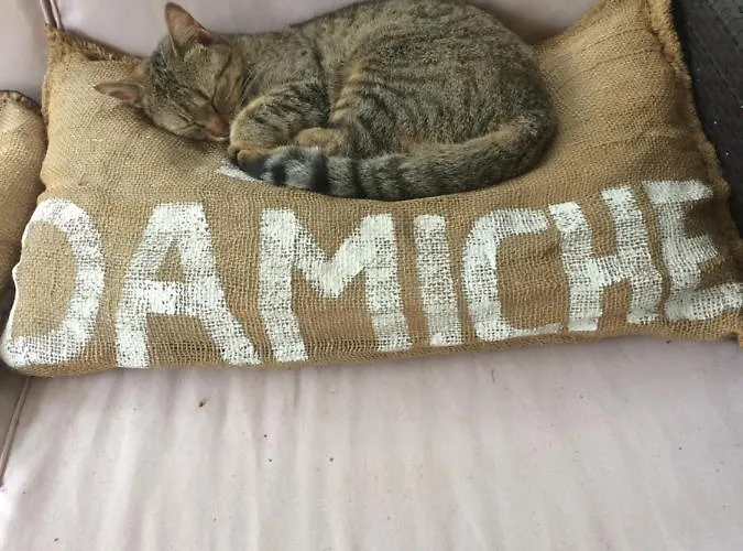 La Damiche 3* Rives (Lot-et-Garonne)